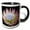 Black/White, variant on 3drose, Flowers, Kirstenbosch Gardens, South Africa-af42 Rbe0058 - Ralph H. Bendjebar, 11oz Two-tone Black Mug