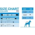 thumbnail image 3 of Zubaz X Pets First NFL Kansas City Chiefs Collar For Dogs & Cats Medium, 3 of 3