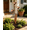1PC, variant on Flamed Copper Calla Lily Garden Stake with Bells, Handcrafted Metal Flower Wind Chimes, Perfect Patio & Backyard Decor Gift