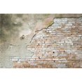 thumbnail image 1 of Dimex MS-5-0168 Mur Mural Grunge&44; Gris, 1 of 1