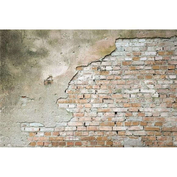 Dimex MS-5-0168 Mur Mural Grunge&44; Gris