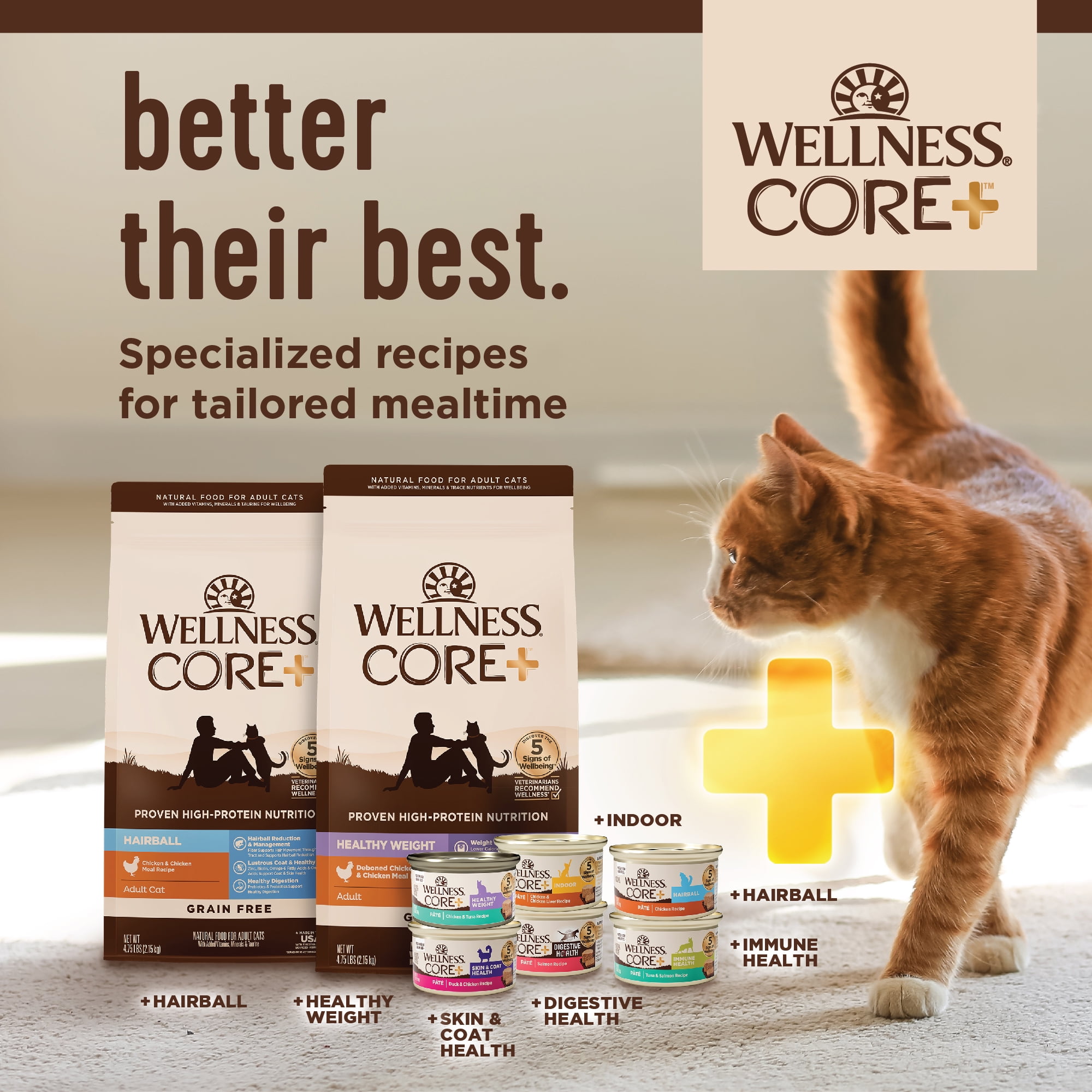 Wellness CORE+ Digestive Health Pate Variety Pack Adult Canned Wet Cat Food, Natural, Protein Rich, Grain Free, Chicken and Turkey Recipes, 3 oz, Pack of 12 Cans