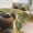 chudan-1, variant on Sloth Bedding Set with Zipper Closure for Girls & Boys