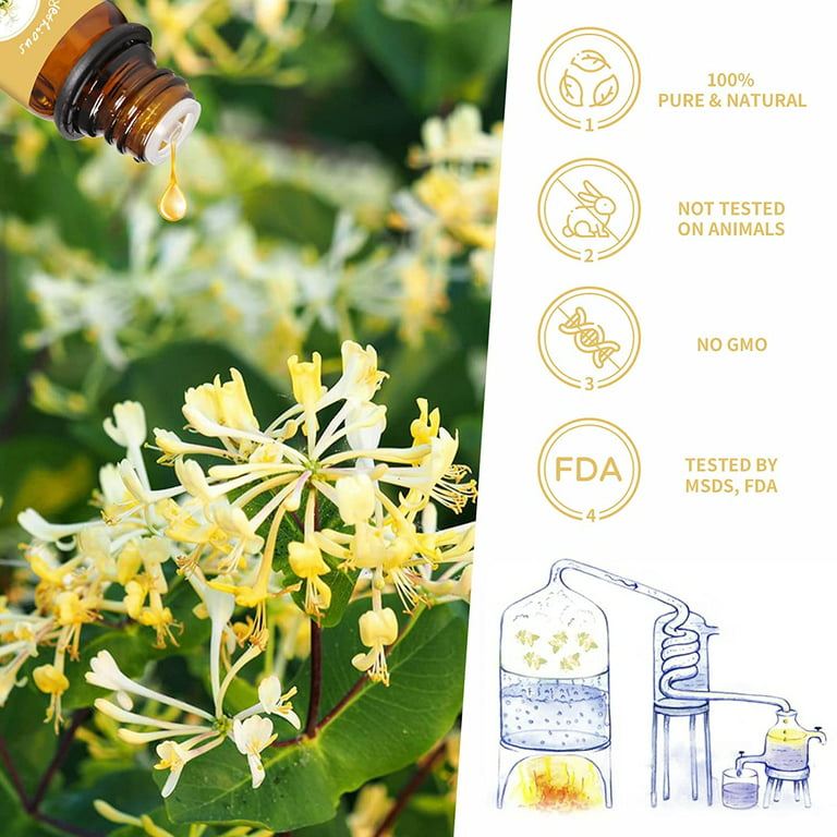 Yethious Honeysuckle Essential Oil 100% Pure, Undiluted, Natural,  Aromatherapy 10ml 