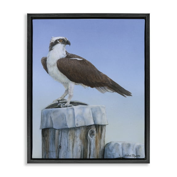 Stupell Industries Harbor Master Bird Perched Animals Painting Black Floater Framed Canvas Art Print Wall Art, 17 x 21