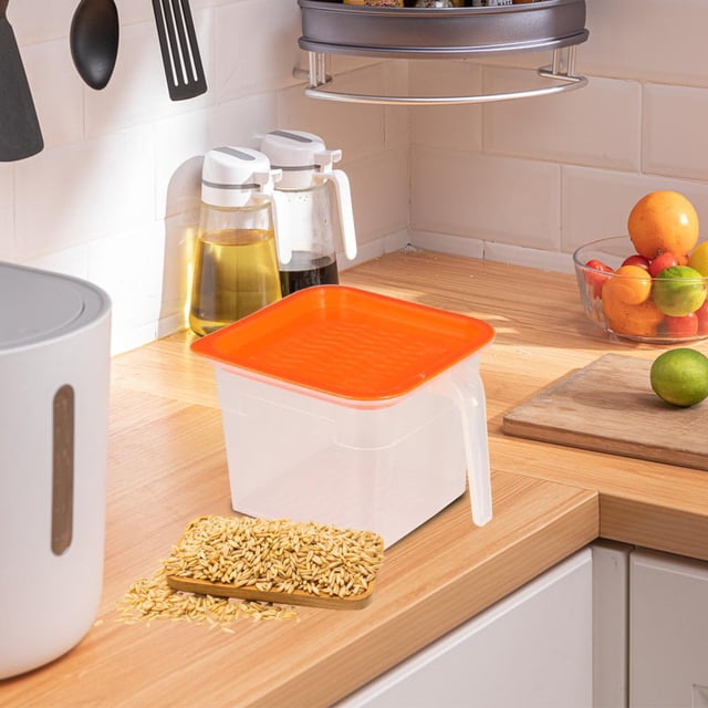 Feltree Small, Plastic Transparent Covered Refrigerator Vegetable and Fruit Sorting Storage Food Storage Box, Refrigerator Fresh Box