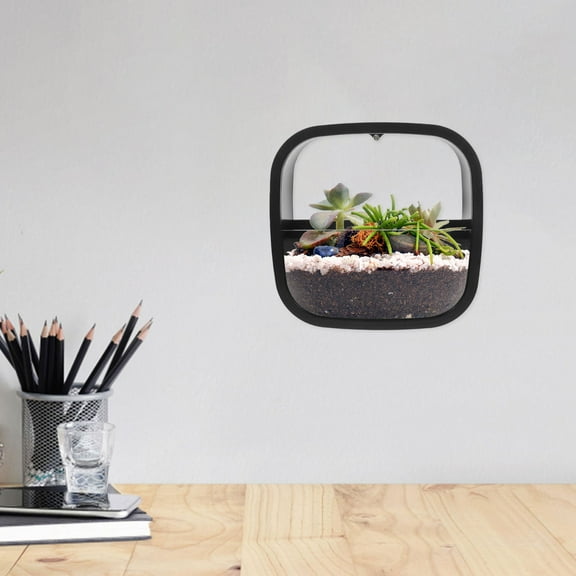 FRCOLOR Indoor Wall Planter Wall Mounted Flower Vase Modern Hydroponic Planter Hydroponic Planting Pot Balcony Wall Planter Wall Hanging Hydroponic Pot