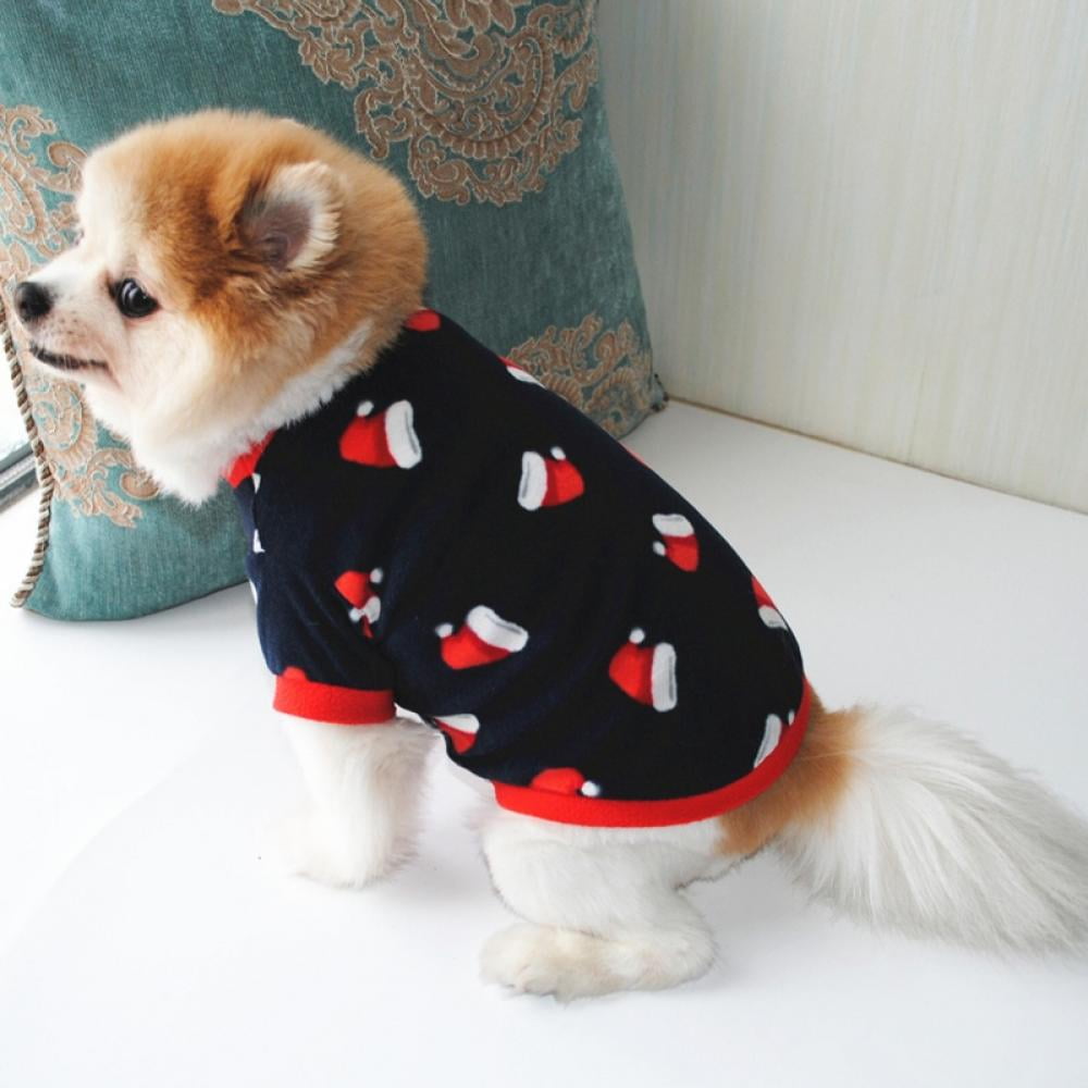 small chihuahua clothes