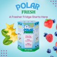 thumbnail image 2 of Polar Fresh - Refrigerator Odor and Moisture Absorber - Deodorizer - Ethylene Gas Absorber - Produce Preserver - Two Way Humidity Control - Fridge Efficiency Booster - Natural Mineral Filter - 3 Pack, 2 of 5