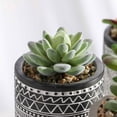 thumbnail image 6 of Teresa's Collections 3 Pcs Artificial Succulents Plants in Ceramic Pot for Table Decor Assorted Faux Succulents for Indoor Living Room Bedroom Decor, 6 of 11