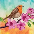 thumbnail image 1 of Kit de Cartes CA : Robin, 1 of 3