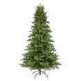 thumbnail image 1 of Vickerman 22584 - 5.5' x 42" Tustin Fraiser 350 Multi-Color LED Lights Christmas Tree (C116357LED), 1 of 2