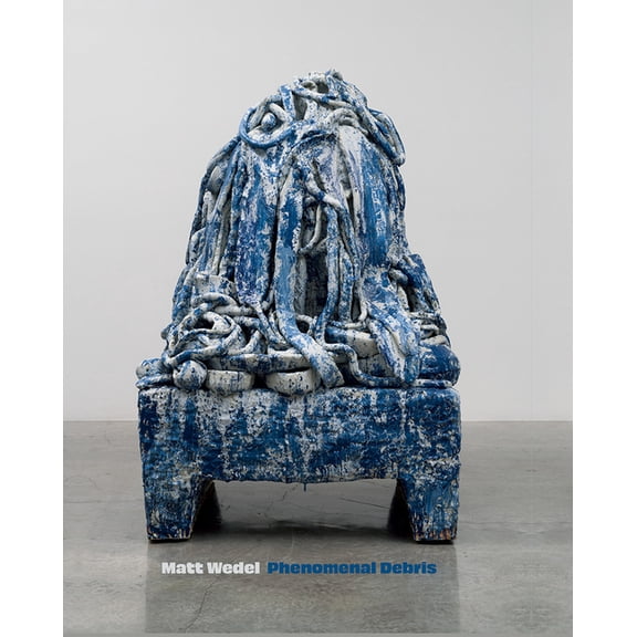 Matt Wedel: Phenomenal Debris, (Hardcover)