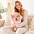 thumbnail image 3 of lMGXYH Adjustable Cat Cones Collar Soft Cute Style Design Cat Collar After Surgery Cat Puppy Recovery Collar to Prevent Licking,1pack, 3 of 3