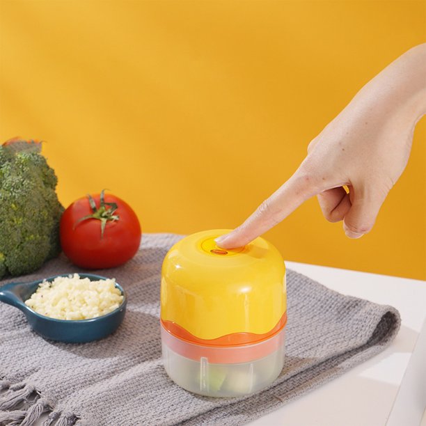 Teissuly Electric Garlic Chopper, 100ML Garlic Mincer Mini Portable Veggie Chopper, Garlic Grinder Masher Onion Chopper, Blender to Vegetable Teissuly WER2023112004296