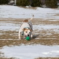 thumbnail image 6 of PetKORE: FloTex Ball - Large - 3.25", Green, Dog Toy, Proprietary Rubber, Patented Open Airflow Grooves, Bounce-Fetch-Chew, Pet Indoor-Outdoor Play, 6 of 10