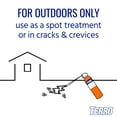 thumbnail image 4 of TERRO Outdoor Ant Killer Aerosol Spray, 19 Ounce, 4 of 7