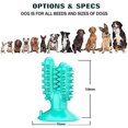 thumbnail image 5 of Cepillo de dientes para perros, juguete interactivo para masticar, juguete para masticar para perros con función de cuidado de los dientes, caucho Natural para perros pequeños, juguete para masticar para perros Rojo Verde Cocina, Decoración y Otros, 5 of 5