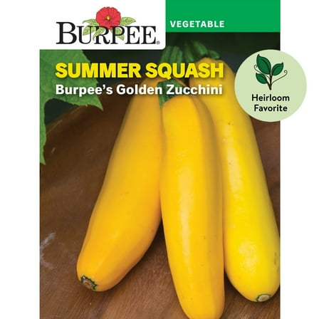 Burpee Burpee's Golden Zucchini Summer Squash Vegetable Seed, 1-Pack