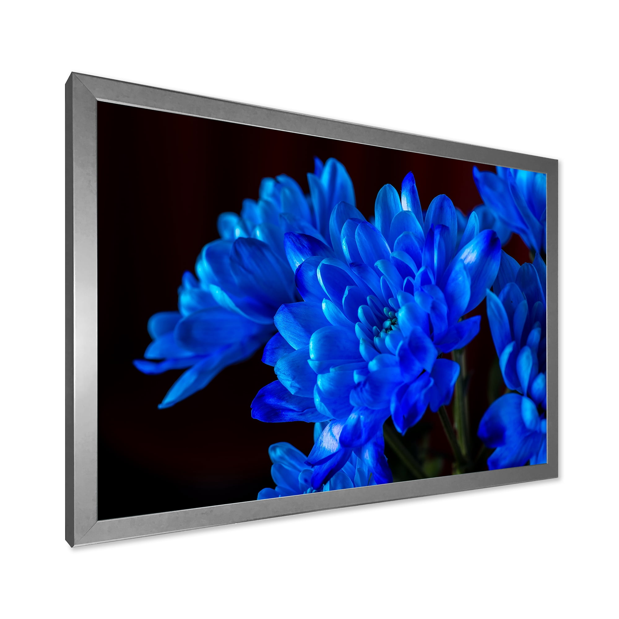 Designart 'Blue Chrysanthemum Flowers On Black Backround' Traditional Framed Art Print