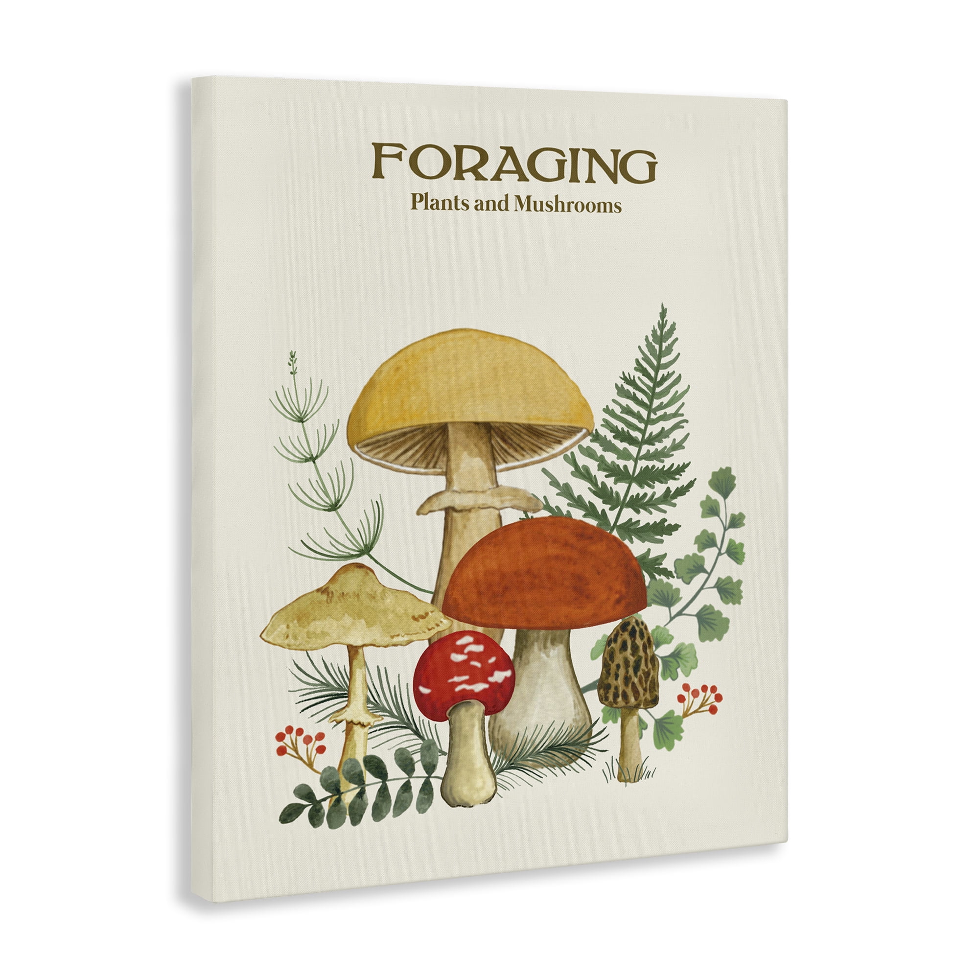 Stupell Industries Vintage Foraging Mushrooms Botanical & Floral Painting Gallery Wrapped Canvas Art Print Wall Art, 24 x 30