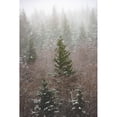 thumbnail image 3 of Nature Magick 17x24 Black Modern Framed Museum Art Print Titled - Forest Fog Winter Snow, 3 of 5