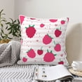 thumbnail image 2 of DouZhe Velvet Decorative Throw Pillow Covers Set of 2, Soft Square Cushion Cover with Invisible Zipper Pink Raspberries Fruits Printing, 18"x18", 2 of 7