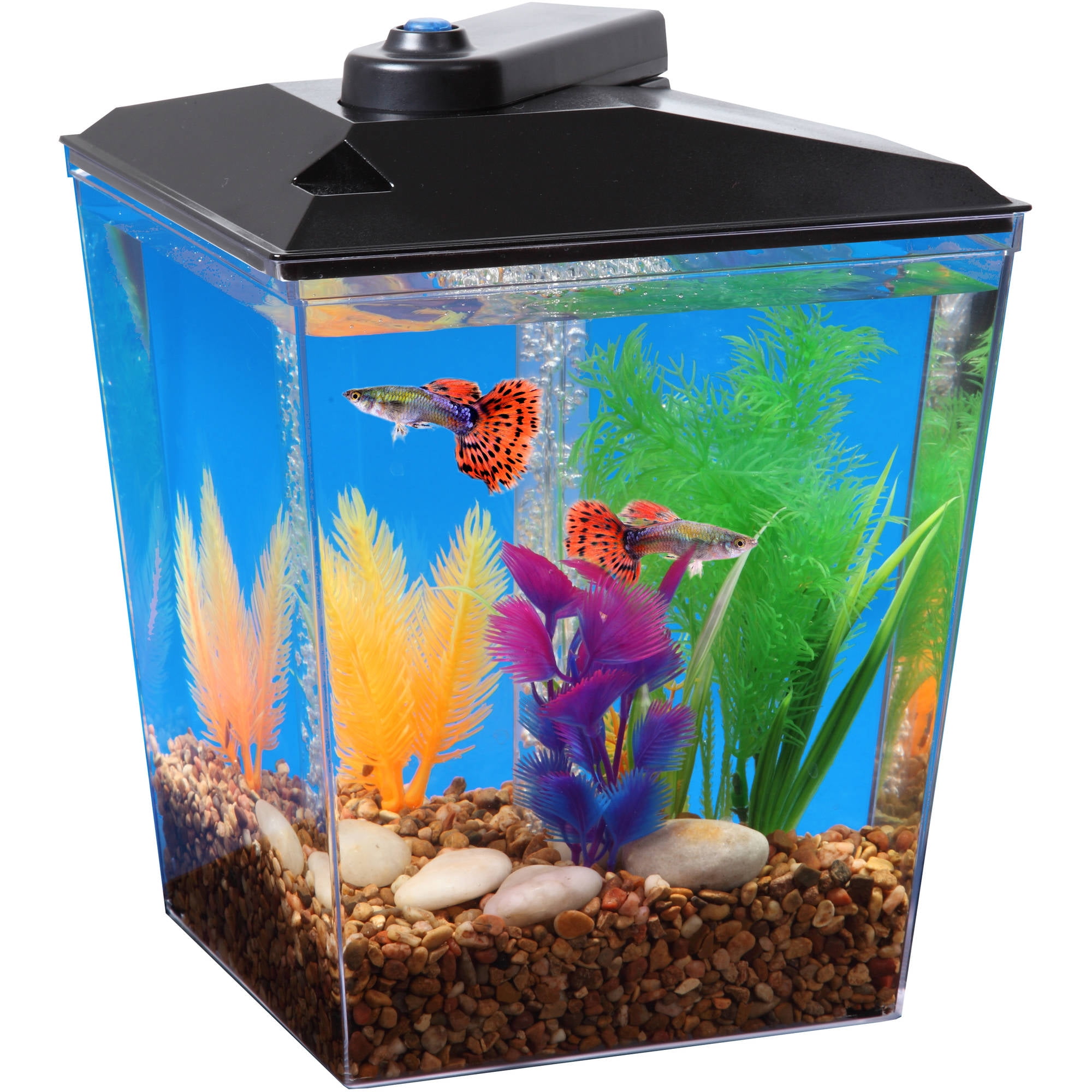 Aquarium Kits: Pet Supplies: Tbook.com