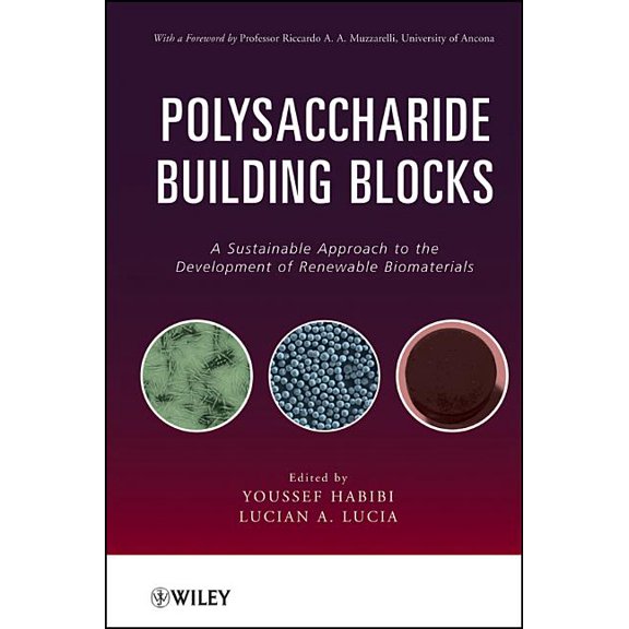 Polysaccharide Building Blocks: A Sustainable Approach to the Development of Renewable Biomaterials, (Hardcover)