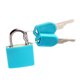 thumbnail image 5 of Candado con llave Wdftyju 6 uds cerradura de gabinete 23MM para casillero de gimnasio, 5 of 7