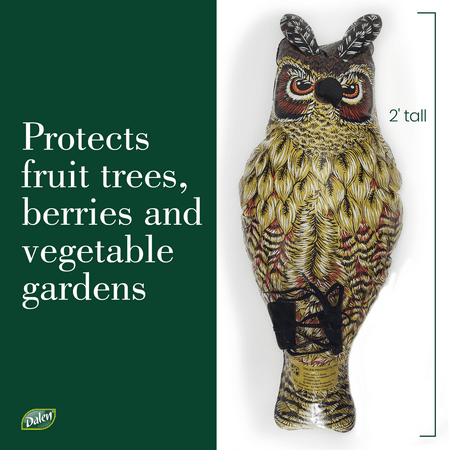 Dalen Inflatable Fake Owl Decoy to Scare Birds Away - Efficient Bird and Pest Deterrent – Safely Deters Birds – 2 feet Tall