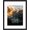 Black, variant on 4x6 Picture Frame Collage 4 Opening, 8x20 Frame Matted to Four 4x6 Photos with Mat for Wall Display, Black