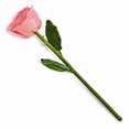 thumbnail image 2 of Lacquer Dipped Natural Pink Rose w/Green Leaves & Stem, 2 of 2