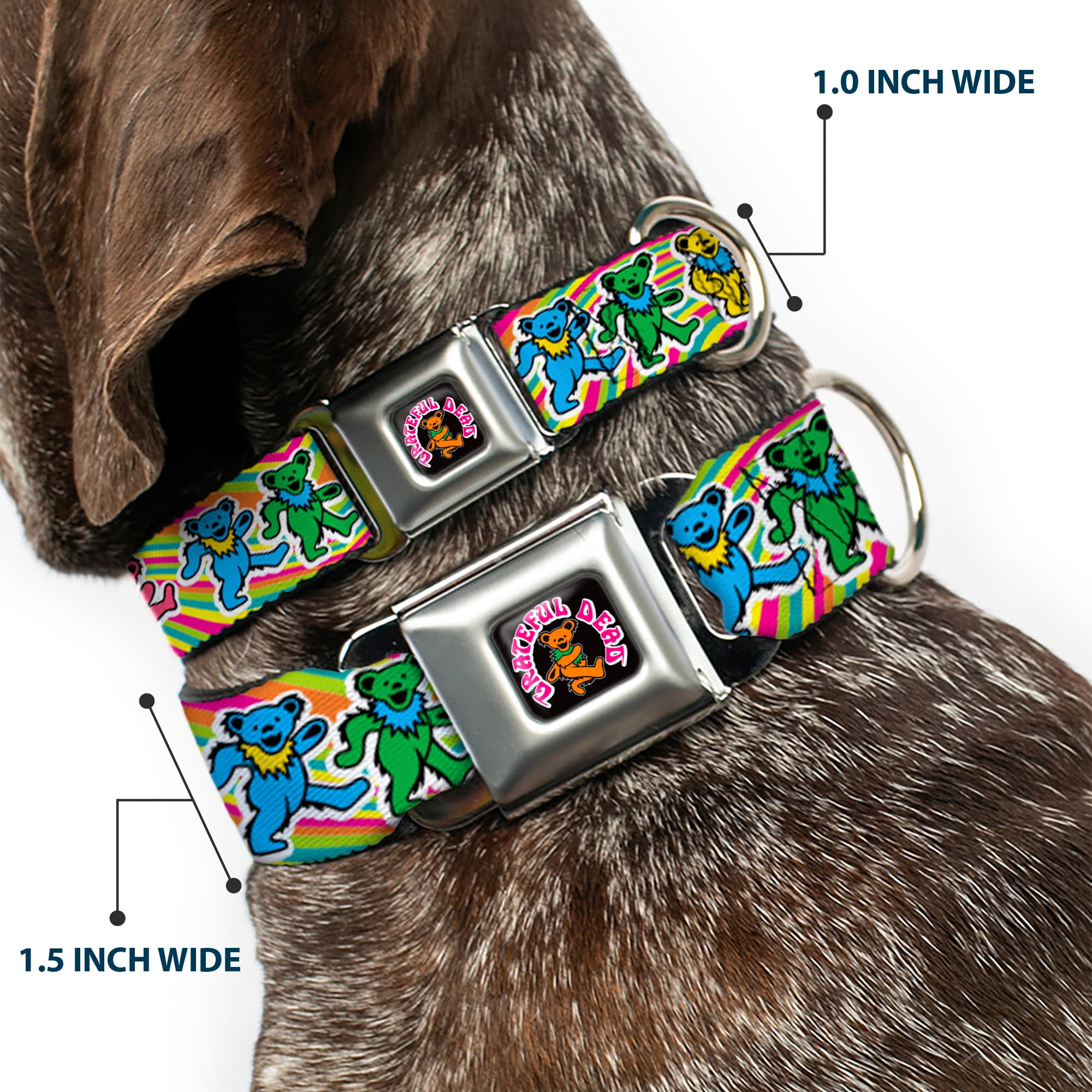 Grateful Dead Pet Collar, Dog Collar Metal Seatbelt Buckle, Grateful Dead Dancing Bears Swirl Multi Color, 15 to 24 Inches 1.0 Inch Wide
