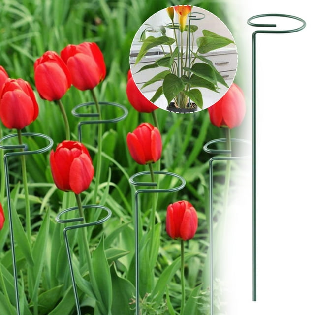 Fiudx Soporte Circular de Hierro para Plantas Trepadoras, Elegante Diseño de Espiral, Estructura Metálica Resistente, Decoración para Interiores y Exteriores, Fácil Instalación, Disponible En Juegos