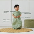 thumbnail image 3 of ergoPouch 1.0 TOG Baby Sleep Sack – 100% Organic Cotton Baby Sleep Suit Bag for Cozy Baby’s Night – Our Sleeping Bag for Kids converts to Sleep Suit with Legs, Baby Blanket (Willow, 8-24 Months), 3 of 5