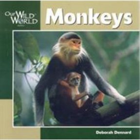 Pre-Owned Monkeys (Our Wild World) (Paperback) 1559718498 9781559718493