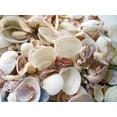 thumbnail image 2 of Miller, Anna 14x12 Black Ornate Wood Framed with Double Matting Museum Art Print Titled - Shells Gathered on Beaches of Sanibel Island-Florida-USA, 2 of 4