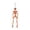Saffron, variant on 15.75 Inch Halloween Simulated Human Skeleton Hanging Decor,Halloween Colorful Full Body Skeleton Ornaments,Spooky Hanging Skeleton Prop for Haunted House Halloween Decorations