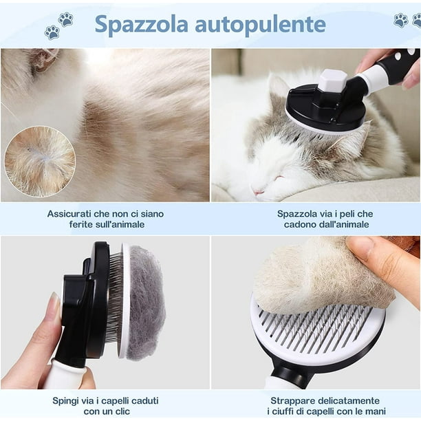 Cat brush walmart cheap