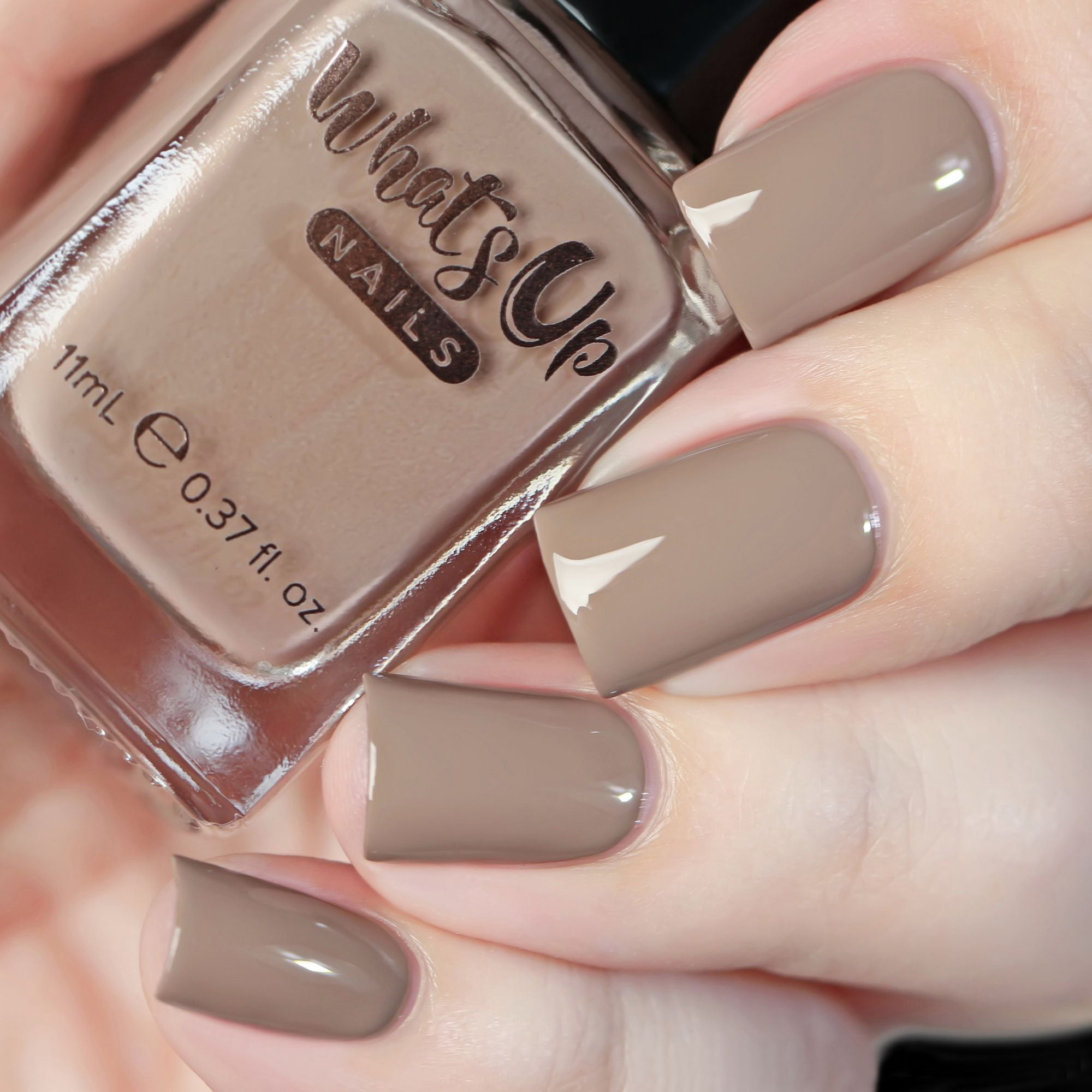 Whats Up Nails - Desert Monsoon Regular Nail Polish 6 Pack (Downpour, Succulent, Tempest, Desert Rose, Sun, Joshua Tree) 12 Free Cruelty Free Vegan