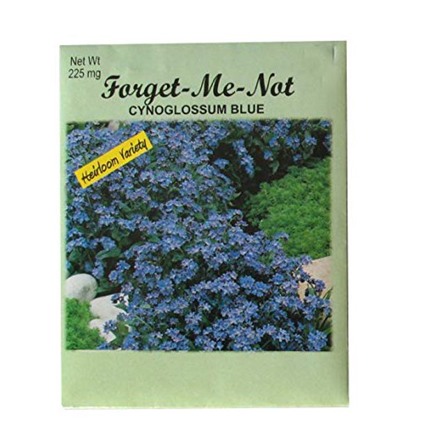 Set of 50 Me Not Valley Green Flower Seed Packets! Flower Seeds