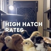 CT180SH Egg Incubator with Automatic Egg Turning & Perfect Humidity Controls, Set & Forget Design, Cabinet Incubators for Hatching Eggs, Incubate and Hatch 180 Chicken Eggs | Hatching Time