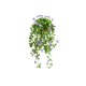 thumbnail image 1 of Plantas colgantes artificiales en maceta, vegetación artificial for oficina, sala de estar, baño, interior y exterior., 1 of 3