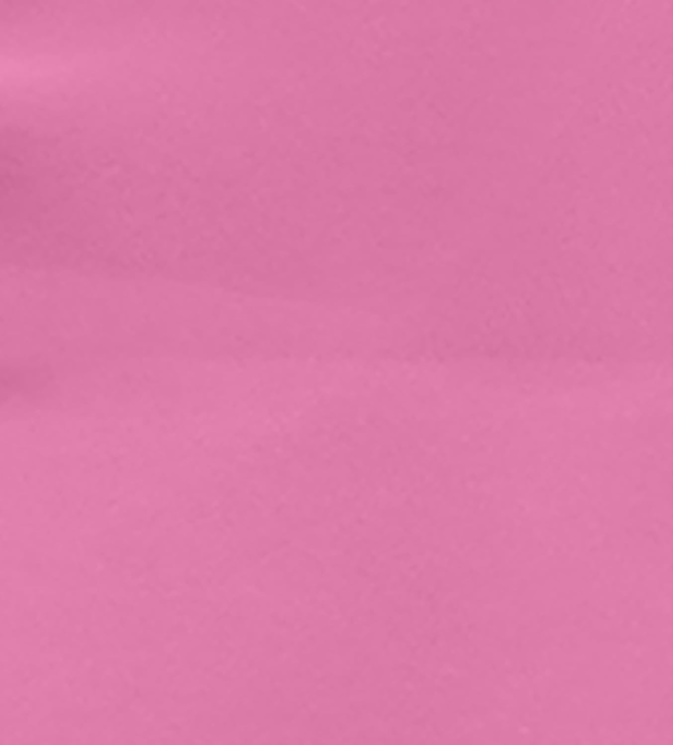 Alaterre Furniture Roxy Junior Kids Twin Loft Bed, Pink with White Trim Tent, Solid Pine Wood with Reversible Ladder & Detachable Tent