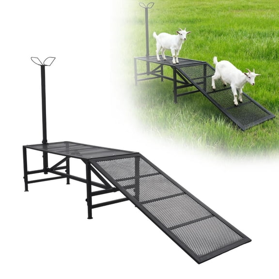 Goat Milking Stand w/Removable Feeding Tray Adjustable Head Piece Sheep Goat Trimming Shearing Grooming Stand Table for Horned Farm Animals Powder Coated Black