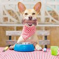thumbnail image 1 of Model Toys for Kids Dog Chew Toys Dog Toothbrush Cleaning Teeth Interactive Simulation Toys Dog Toys and Molar Chewers Medium and Large Varieties of Quiet Interaction and Solitud, 1 of 9