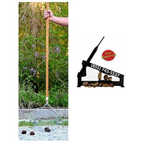 Large Nut Wizard for Black Walnuts + Steel Nutcracker II (Best Black Walnut Nut Cracker)