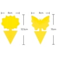 thumbnail image 6 of QARUN 48 Pack Sticky Fruit Fly Traps and Fungus Gnat Trap Killer for Indoor Outdoor,House Plant Trap for Fruit Flies,Flying Insects Gnat Traps for House Indoor, 6 of 8