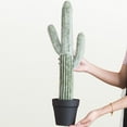 thumbnail image 4 of 24.67" Artificial Saguaro Cactus in Black Pot – Lifelike Desert Decor, Zero Maintenance Fake Plant for Home & Office, 4 of 7